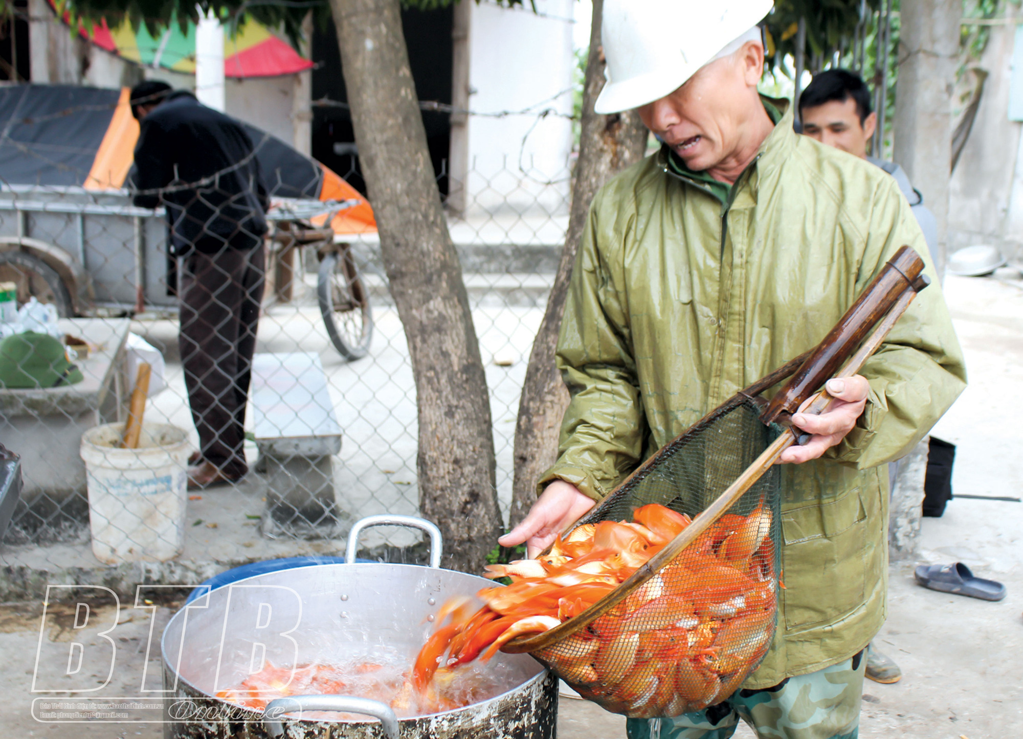 Thái Bình: Ô tô, xe máy lao xao, người ra vào tấp nập ở làng này mua thứ gì mà mang đi gấp gáp? - Ảnh 5.