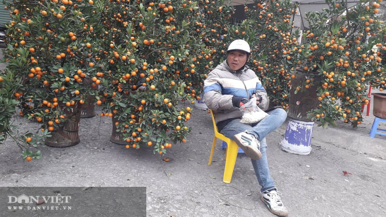 Thái Nguyên: Tết cận kề, đào, hoa, cây cảnh nườm nượp xuống phố nhưng vắng bóng người mua - Ảnh 5.