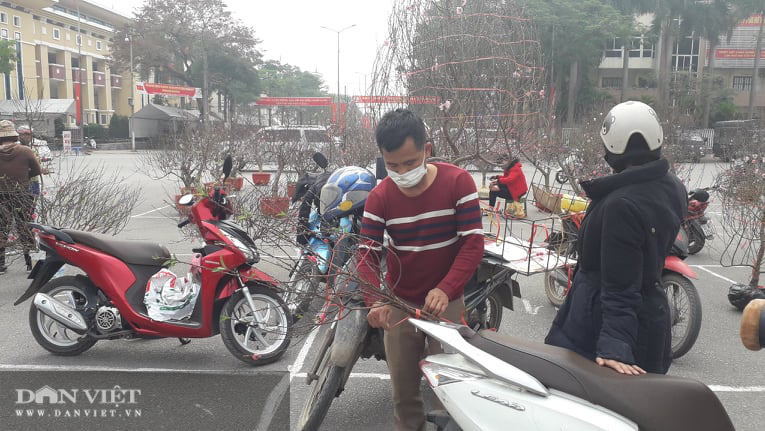 Thái Nguyên: Tết cận kề, đào, hoa, cây cảnh nườm nượp xuống phố nhưng vắng bóng người mua - Ảnh 2.