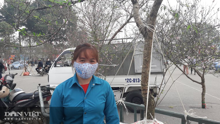 Thái Nguyên: Tết cận kề, đào, hoa, cây cảnh nườm nượp xuống phố nhưng vắng bóng người mua - Ảnh 4.