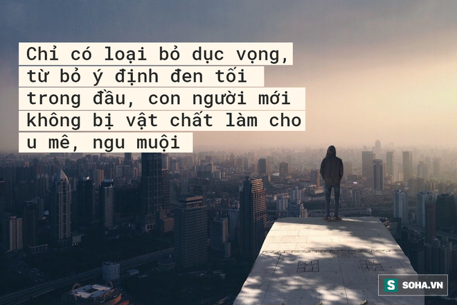 - Ảnh 2.