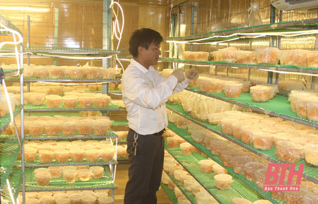 Ông chủ “8X” của 3 sản phẩm OCOP - Ảnh 1. Ông chủ “8X” của 3 sản phẩm OCOP - Ảnh 1.