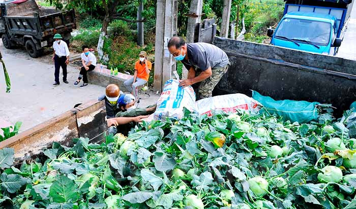 Hải Dương: Hơn 100 tấn rau xanh chia lửa với “tâm dịch” Chí Linh - Ảnh 1.