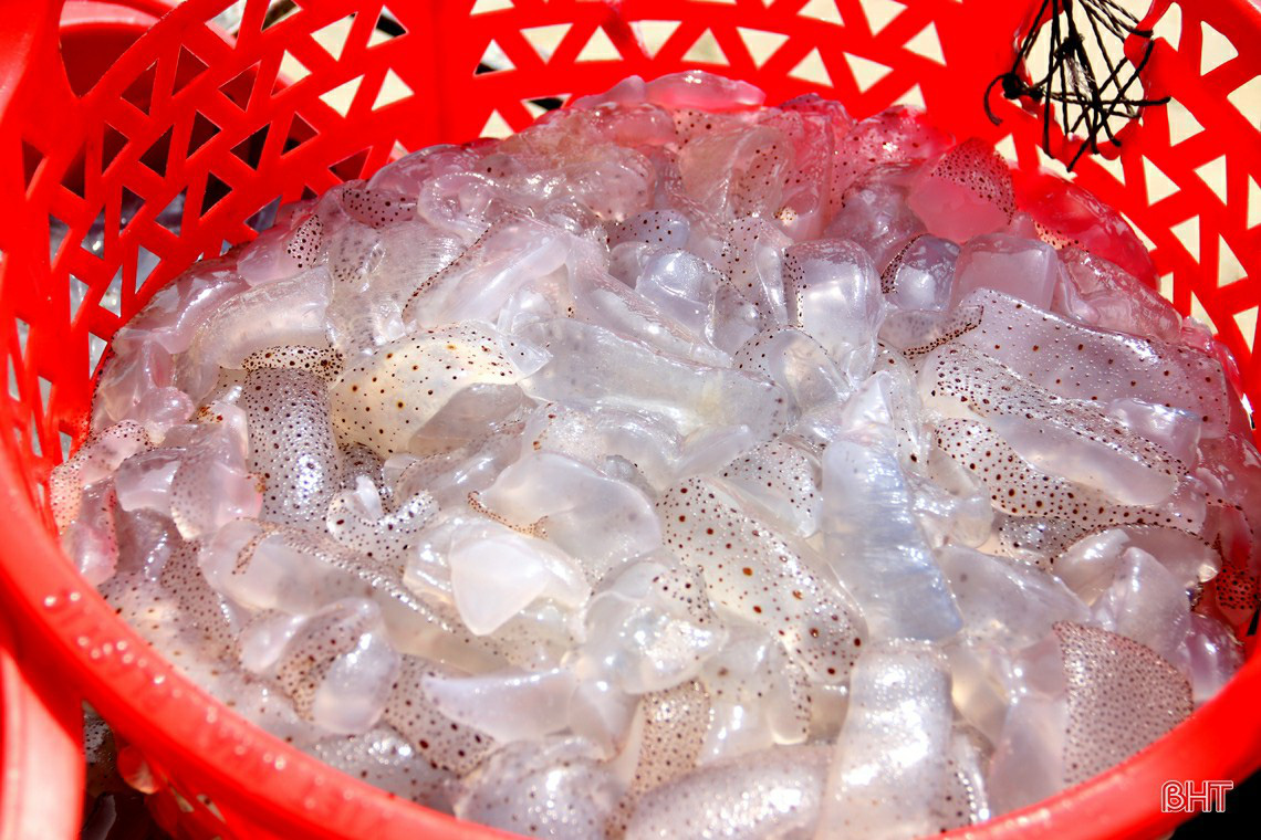 Hà Tĩnh: Đánh bắt, chế biến con mềm nhũn, không não, không tim, ngư dân thu được gần chỉ rưỡi vàng 9999 - Ảnh 6.