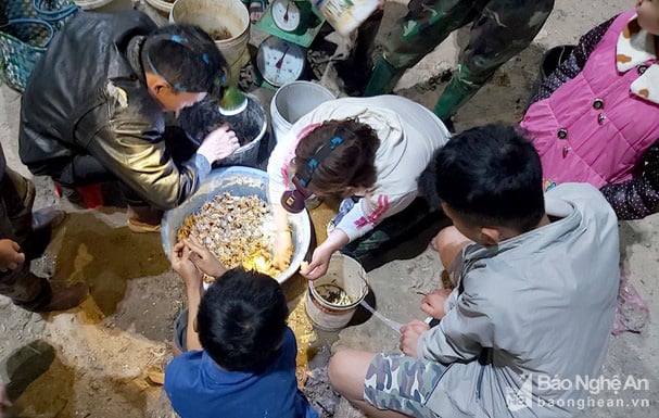 Nghệ An: Tối đến đội đèn đi săn con 8 cẳng 2 càng, thương lái mua sạch nhưng sao dân vẫn kém vui? - Ảnh 1.