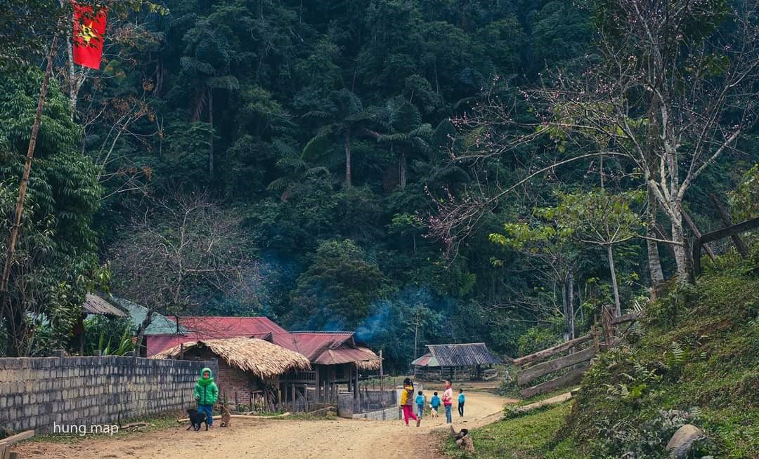 Bài dự thi &quot;Ăn Tết thời Covid&quot;: Tết trên đất của người Thái - Ảnh 5.