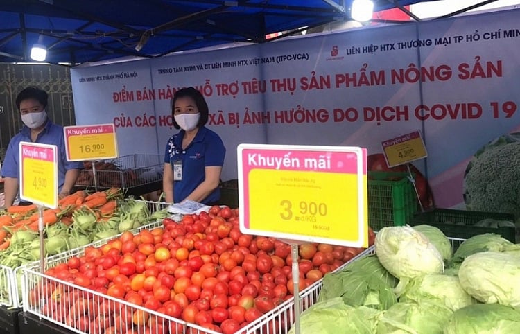 Các hệ thống bán lẻ vào cuộc 'giải cứu' nông sản Hải Dương - Ảnh 1. Các hệ thống bán lẻ vào cuộc 'giải cứu' nông sản Hải Dương - Ảnh 1.