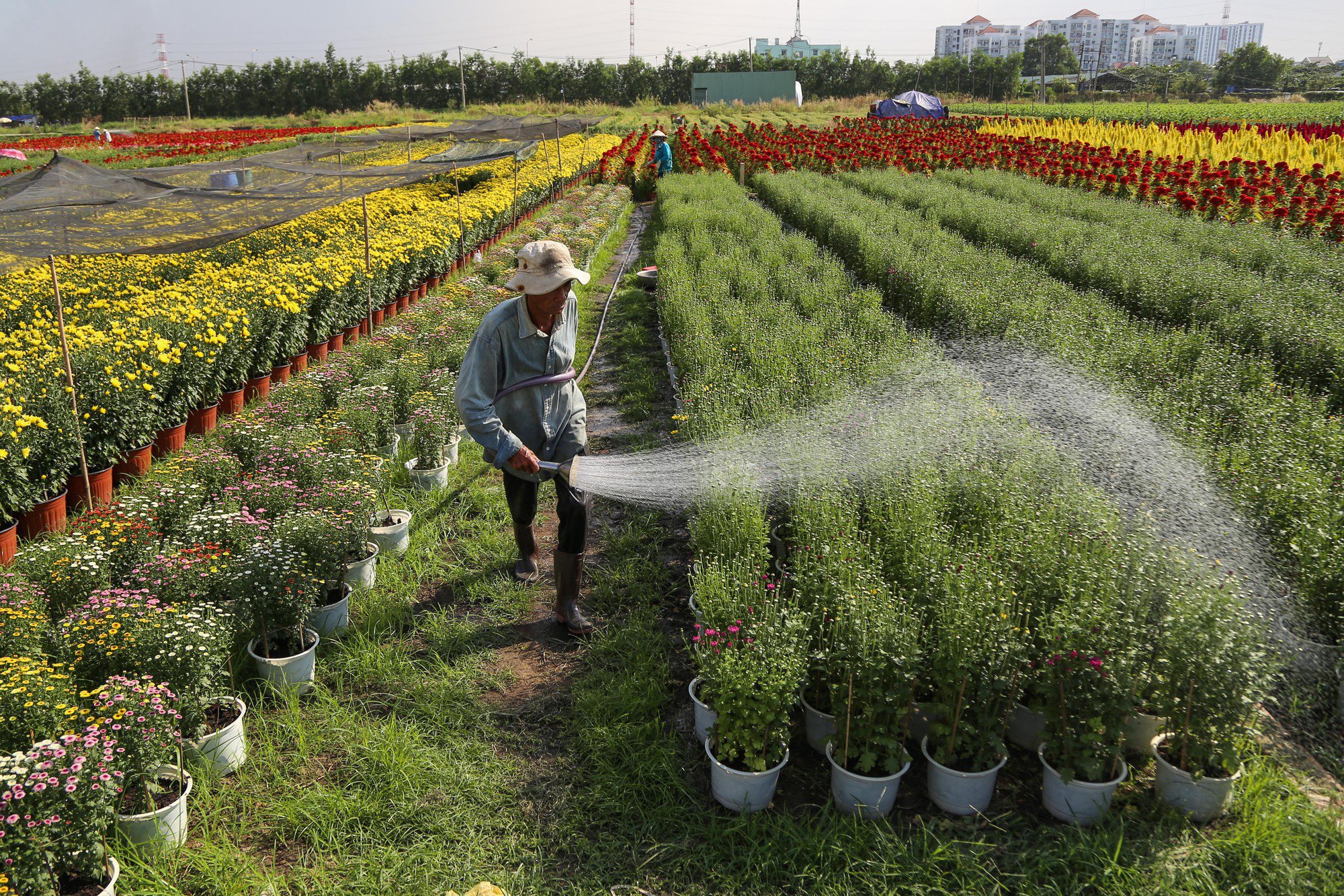 3 loại giấy tờ phải có khi làm sổ đỏ cho đất nông nghiệp - Ảnh 1.