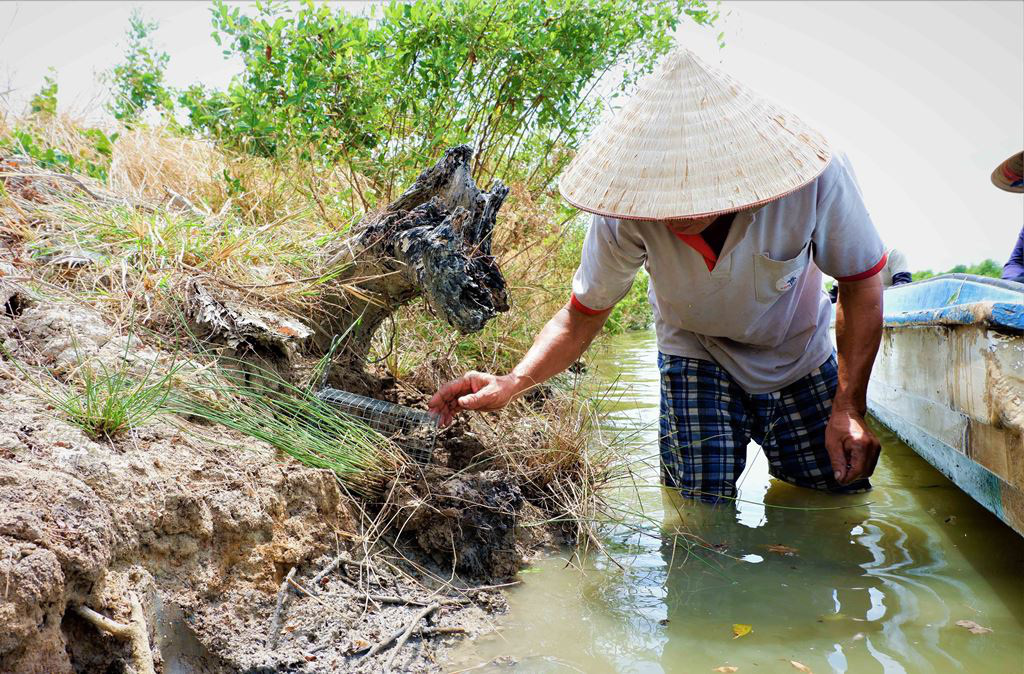 Độc nhất miền Tây: Dùng rập đặt bẫy chuột ai ngờ bẫy luôn được cả ba khía, lợi được cả đôi đường - Ảnh 1.