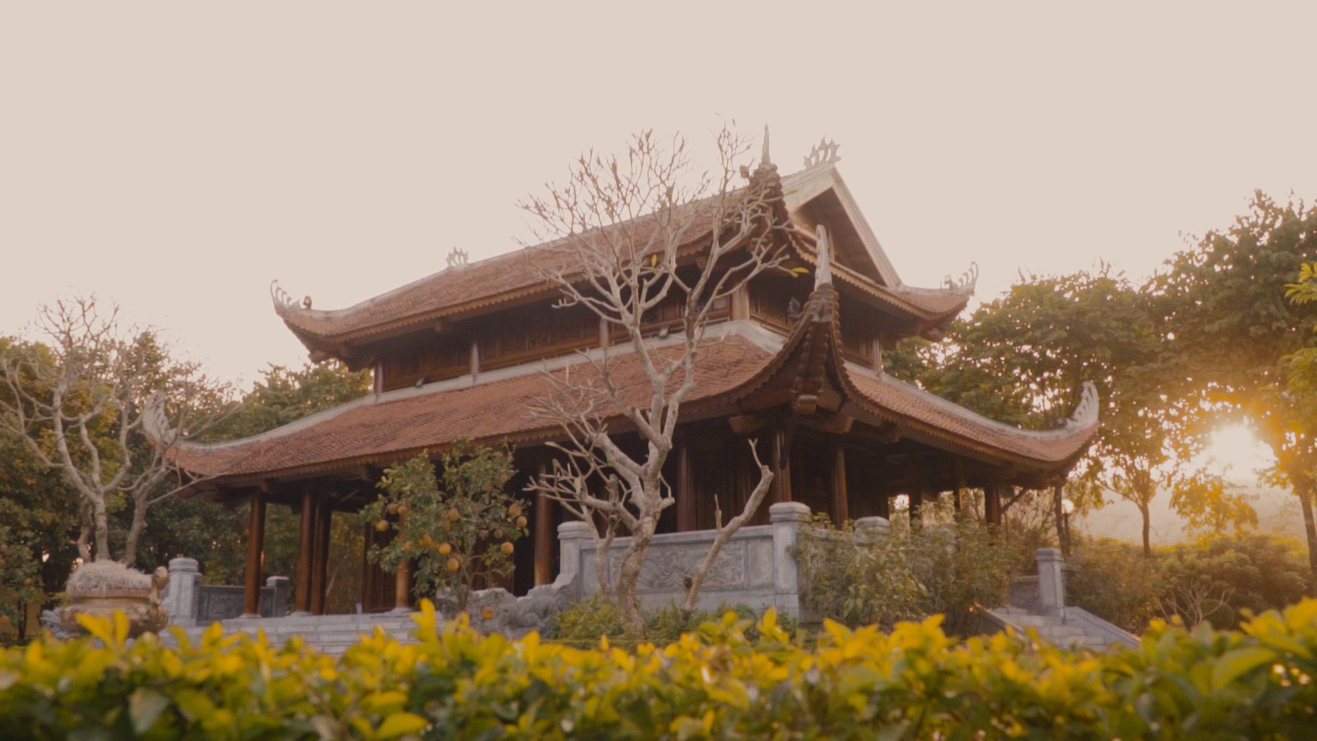Thành phố Sơn La toát lên vẻ đẹp tinh khôi của mùa xuân Tây Bắc qua những thước phim - Ảnh 3.