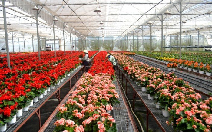 Chi phí sang tên sổ đỏ đất nông nghiệp năm 2021 - Ảnh 1.