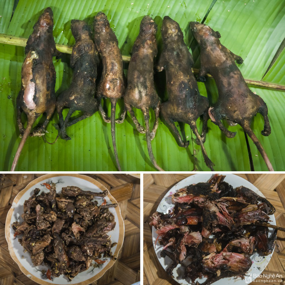 Nghệ An: Con đặc sản trông thì ghê nhưng ăn lại mê, thơm &quot;điếc mũi&quot; nơi Cổng trời Mường Lống - Ảnh 6.