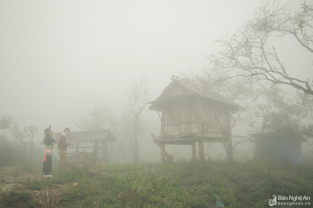 Nghệ An: Con đặc sản trông thì ghê nhưng ăn lại mê, thơm &quot;điếc mũi&quot; nơi Cổng trời Mường Lống - Ảnh 1.