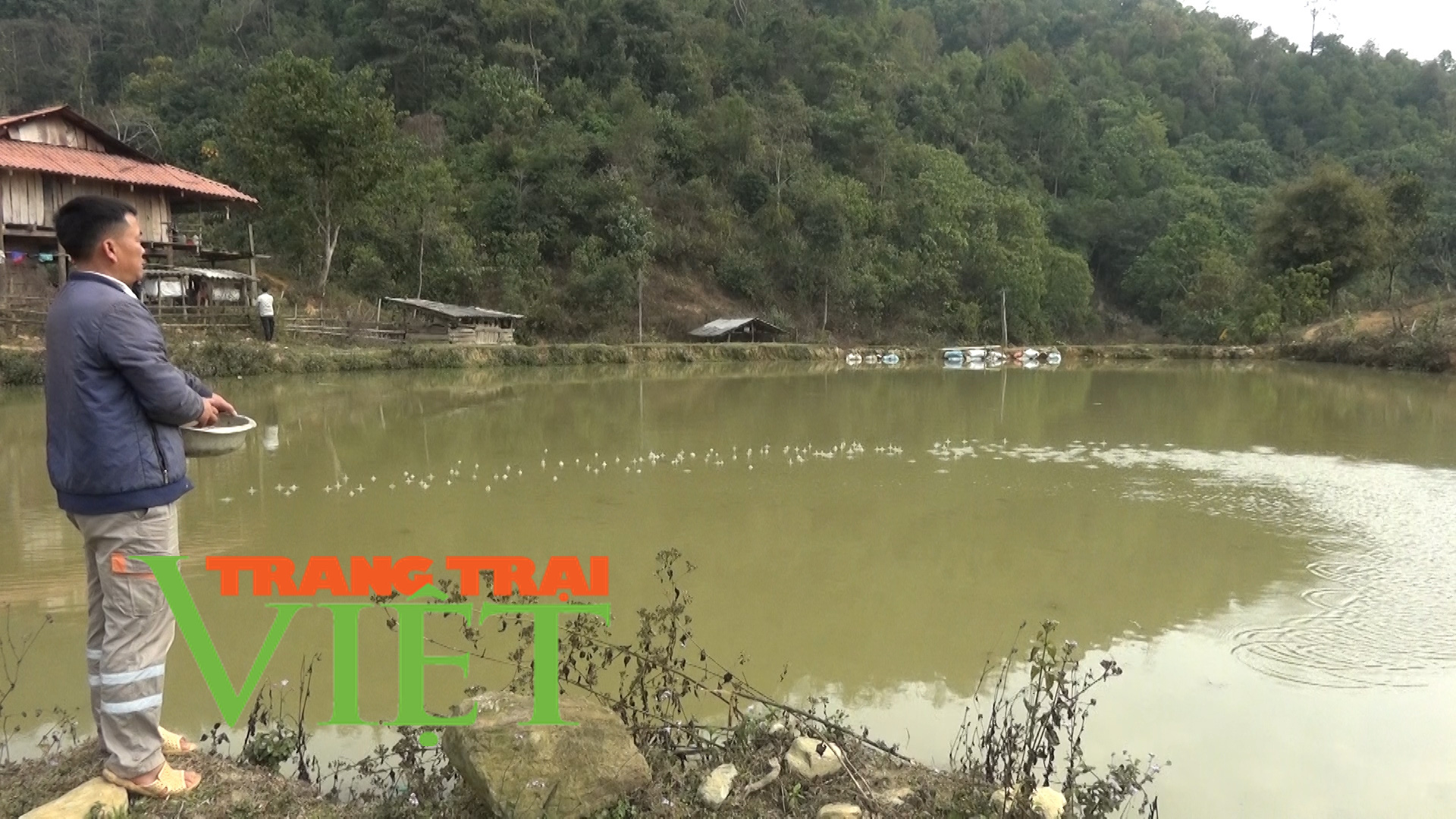 Chặn khe, đắp bờ, nông dân Tuần Giáo khấm khá nhờ nuôi cá - Ảnh 3. Chặn khe, đắp bờ, nông dân Tuần Giáo khấm khá nhờ nuôi cá - Ảnh 3.