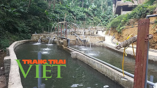 Chặn khe, đắp bờ, nông dân Tuần Giáo khấm khá nhờ nuôi cá - Ảnh 2. Chặn khe, đắp bờ, nông dân Tuần Giáo khấm khá nhờ nuôi cá - Ảnh 2.