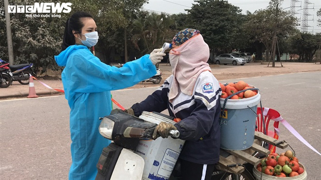 Cà chua chín đỏ đồng đúng dịch COVID-19, nông dân Chí Linh đứng ngồi không yên - Ảnh 14. Cà chua chín đỏ đồng đúng dịch COVID-19, nông dân Chí Linh đứng ngồi không yên - Ảnh 14.