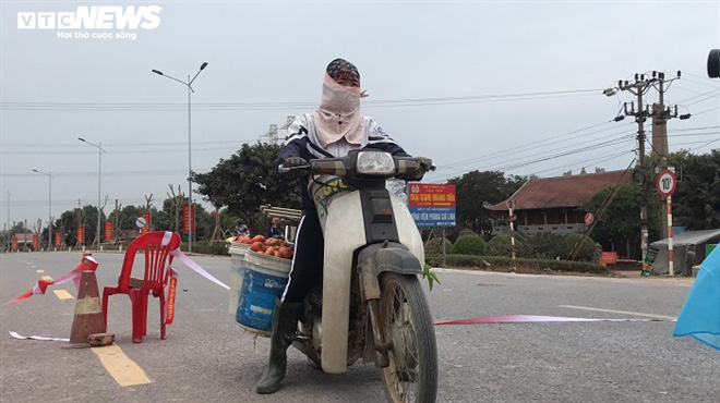 Cà chua chín đỏ đồng đúng dịch COVID-19, nông dân Chí Linh đứng ngồi không yên - Ảnh 13. Cà chua chín đỏ đồng đúng dịch COVID-19, nông dân Chí Linh đứng ngồi không yên - Ảnh 13.
