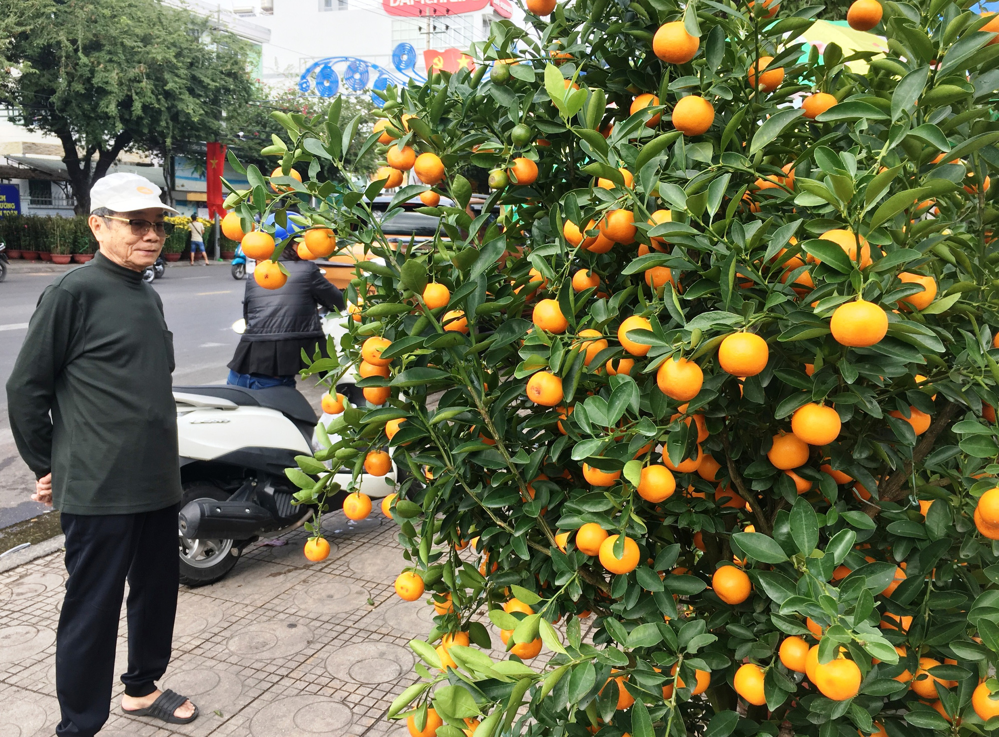 Những loại hoa, quả đẹp phục vụ Tết - Ảnh 5.