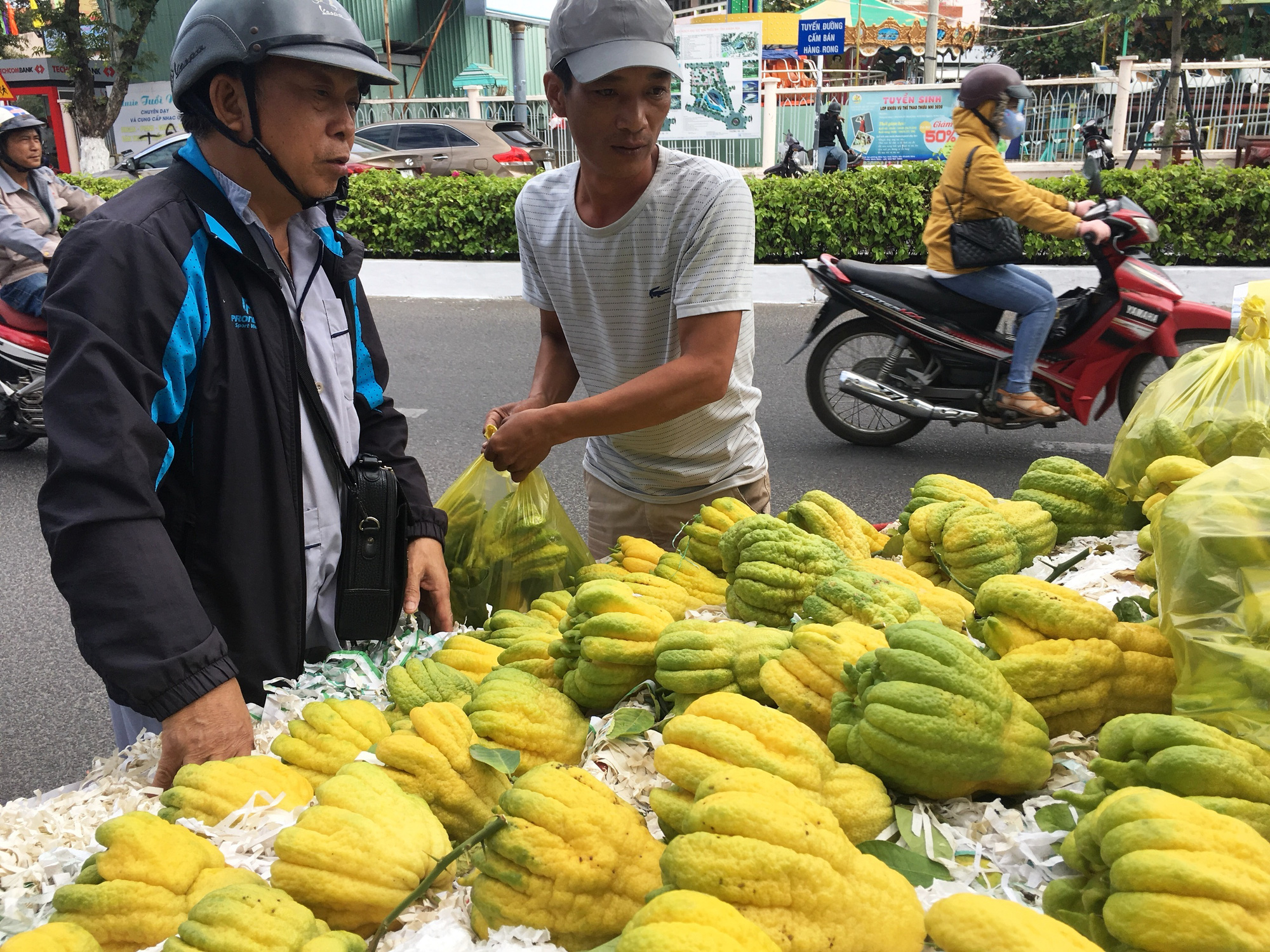 Những loại hoa, quả đẹp phục vụ Tết - Ảnh 1.