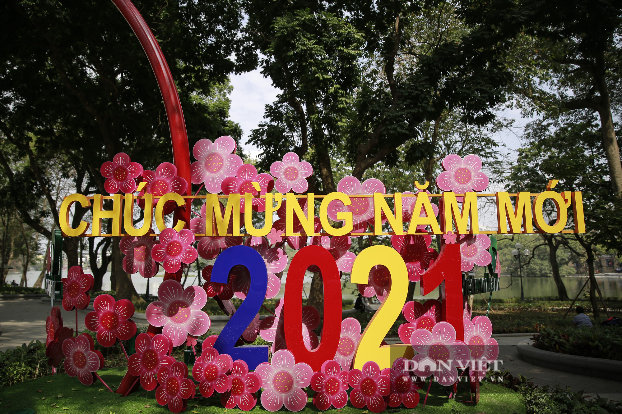 Thưởng lãm sắc hoa đẹp miên man bên hồ Hoàn Kiếm - Ảnh 11.