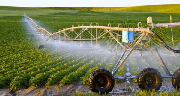 Điều kiện chuyển nhượng đất nông nghiệp năm 2021 - Ảnh 1.