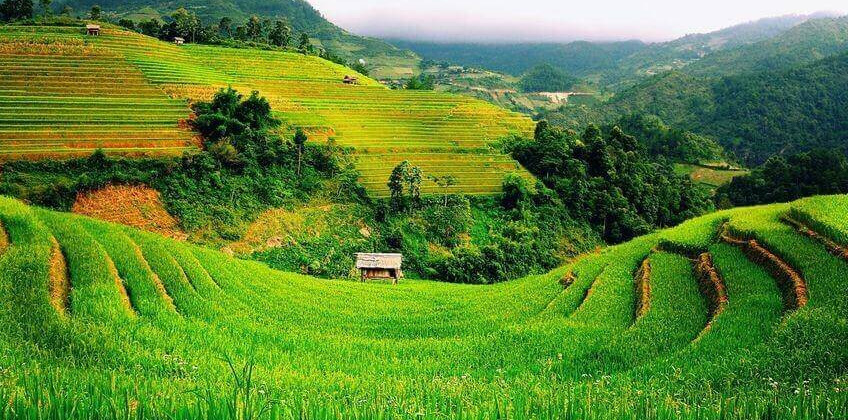 Mẫu đơn xin thuê đất nông nghiệp năm 2021 - Ảnh 1.