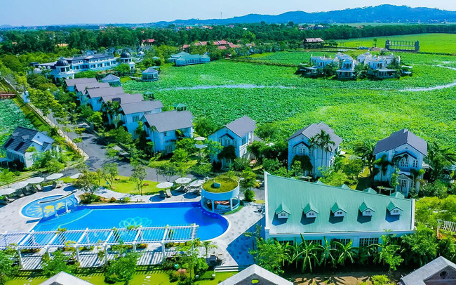 Mắc kẹt với Dự án Vườn Vua, TIG chỉ lãi ròng 87 tỷ đồng trong năm 2020, giảm 28% - Ảnh 2. Mắc kẹt với Dự án Vườn Vua, TIG chỉ lãi ròng 87 tỷ đồng trong năm 2020, giảm 28% - Ảnh 2.