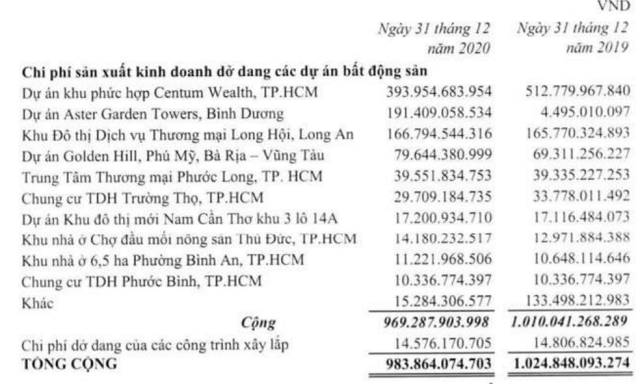 Sau lùm xùm thuế nợ thuế, Nhà Thủ Đức báo lỗ ròng hơn 30 tỷ đồng trong năm 2020 - Ảnh 3.