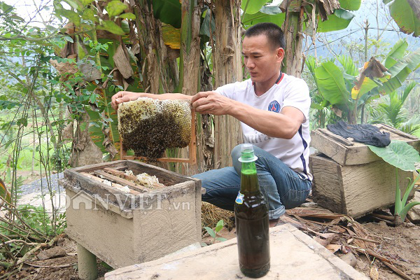 Nuôi ong mật bán Tết, trai Mường đút túi trăm triệu - Ảnh 5.