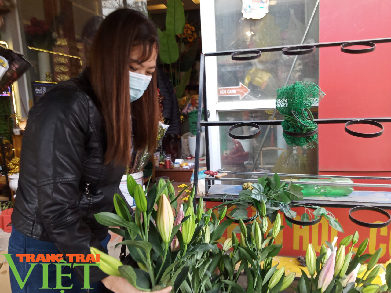 Sôi động thị trường hoa, cây cảnh dịp Tết ở Phù Yên - Ảnh 3. Sôi động thị trường hoa, cây cảnh dịp Tết ở Phù Yên - Ảnh 3.