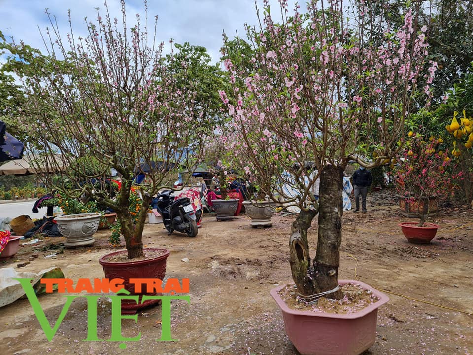 Điện Biên: Tết đến cận kề - Lỗi lo của những tiểu thương bán hoa Tết - Ảnh 1.