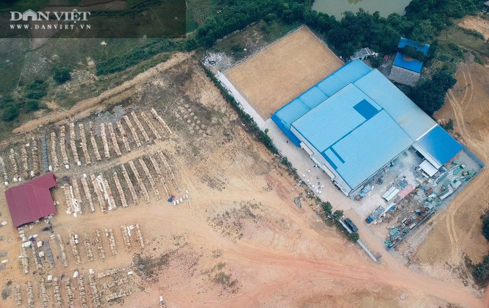 Xây nhà máy &quot;khủng&quot; trên đất rừng ở Phú Thọ: Buộc trả lại hiện trạng, xử phạt hơn 57 triệu đồng - Ảnh 1.