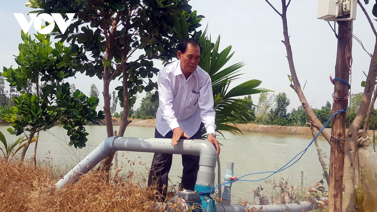 Lão nông ở Long An làm giàu từ cây lúa trên đất phèn - Ảnh 1. Lão nông ở Long An làm giàu từ cây lúa trên đất phèn - Ảnh 1.