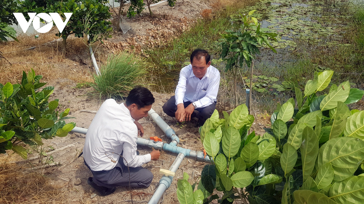 Lão nông ở Long An làm giàu từ cây lúa trên đất phèn - Ảnh 3. Lão nông ở Long An làm giàu từ cây lúa trên đất phèn - Ảnh 3.