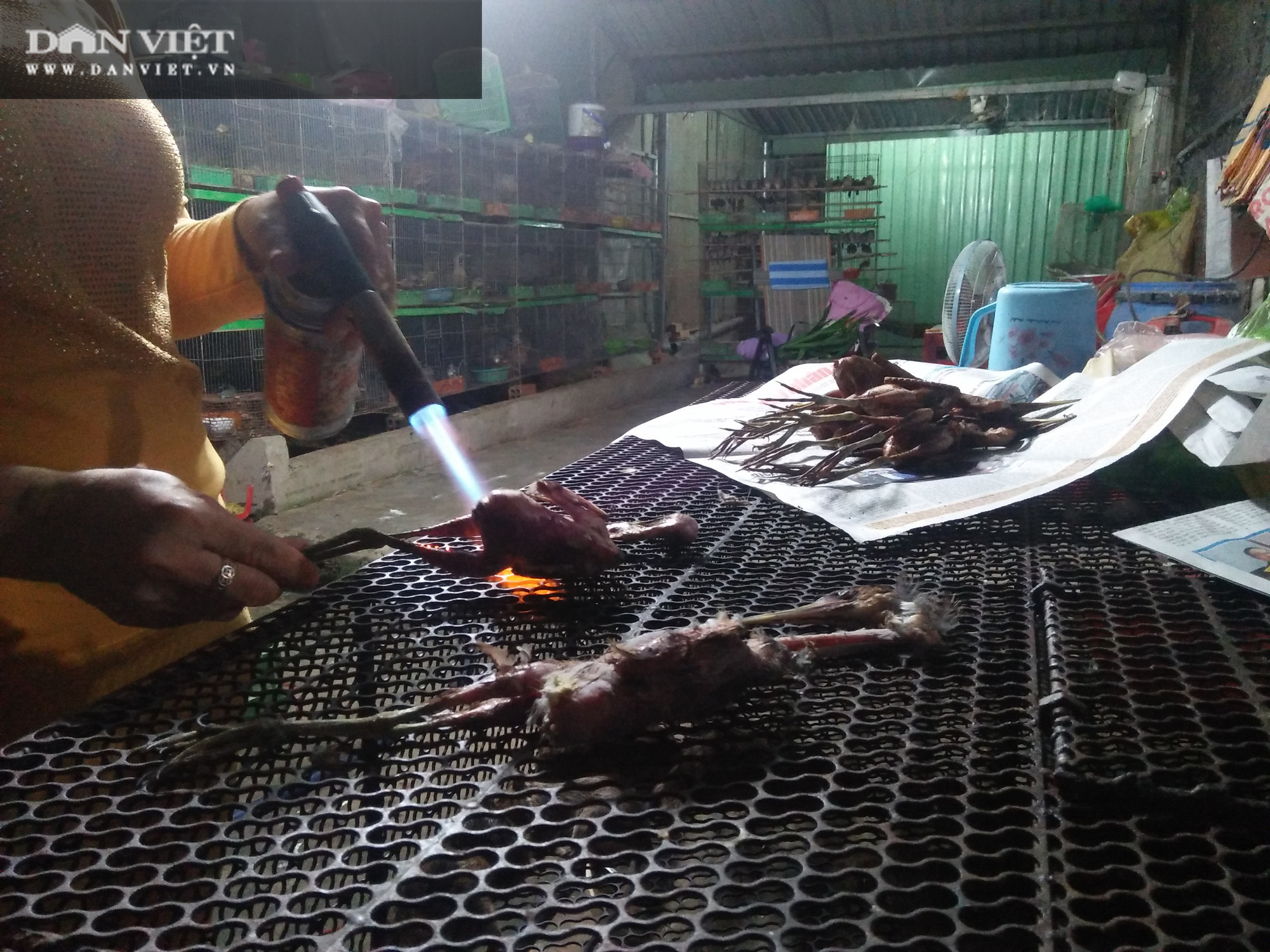 Văn phòng Chính phủ có ý kiến về giải pháp bảo tồn các loài chim hoang dã, di cư tại Việt Nam - Ảnh 1.