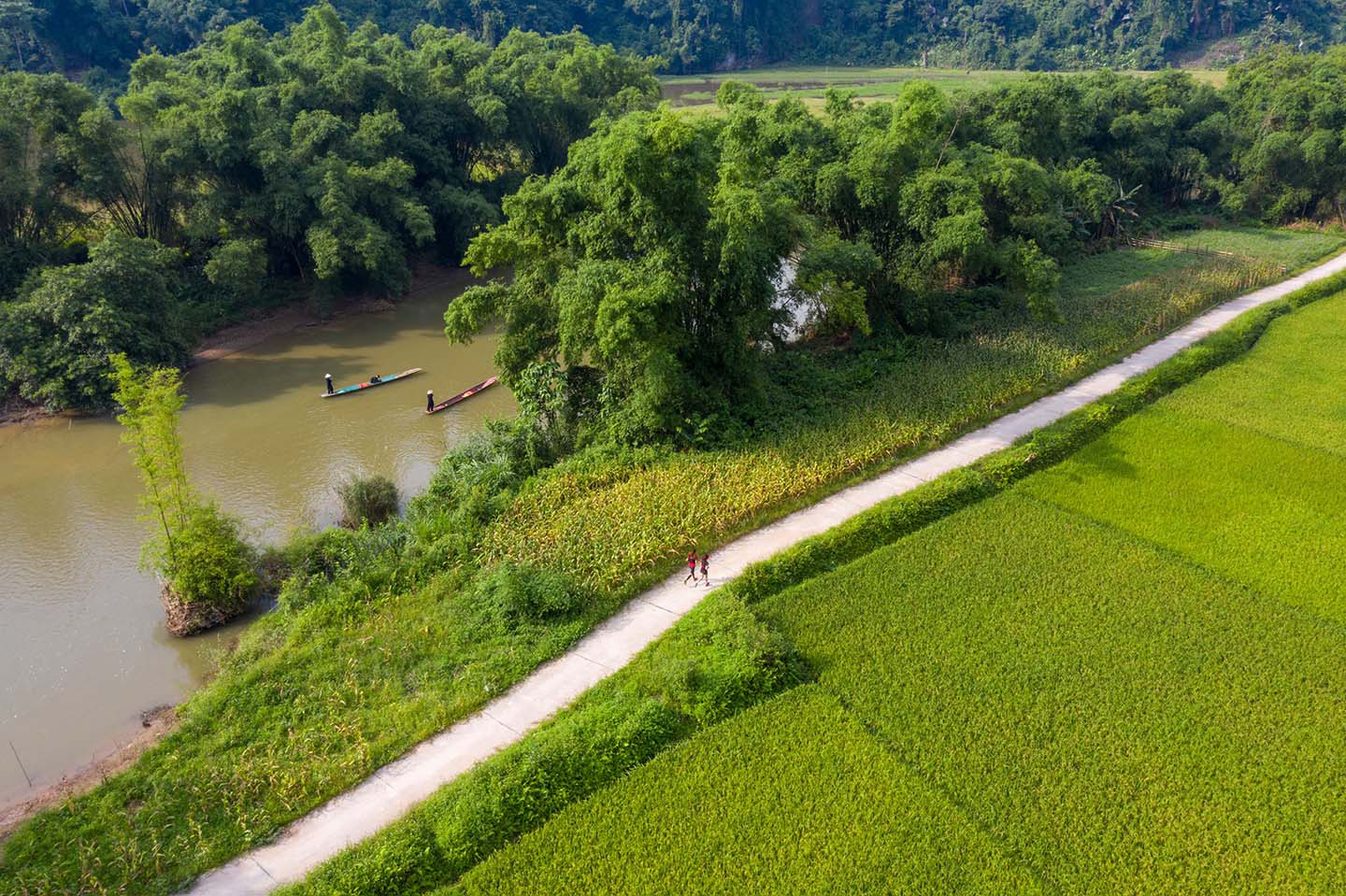 Bắc Kạn tổ chức giải chạy Ba Bể Jungle Marathon nhằm quảng bá du lịch - Ảnh 2.