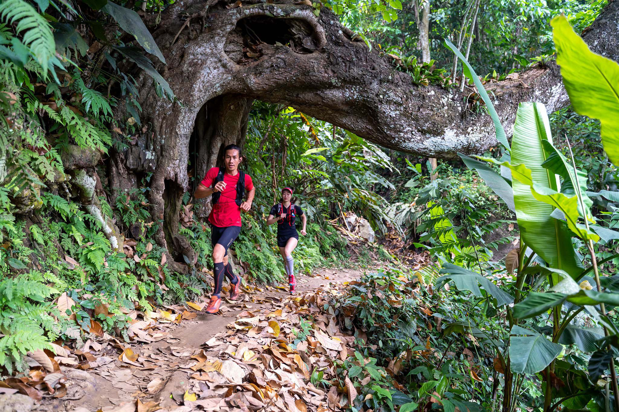 Bắc Kạn tổ chức giải chạy Ba Bể Jungle Marathon nhằm quảng bá du lịch - Ảnh 1.