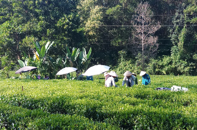 Đồng Hỷ - Thái Nguyên: Sẽ đầu tư hơn 100 tỷ đồng cho 2 xã về đích NTM - Ảnh 1.