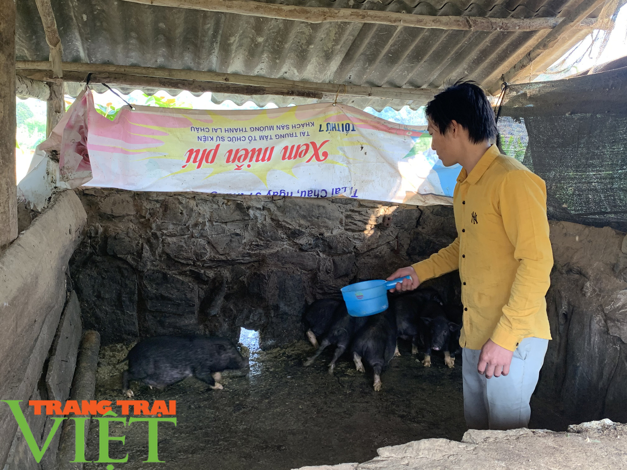 “Đánh thức” vùng đất khó, chàng trai Mông thu nhập trên 170 triệu đồng mỗi năm - Ảnh 1. “Đánh thức” vùng đất khó, chàng trai Mông thu nhập trên 170 triệu đồng mỗi năm - Ảnh 1.