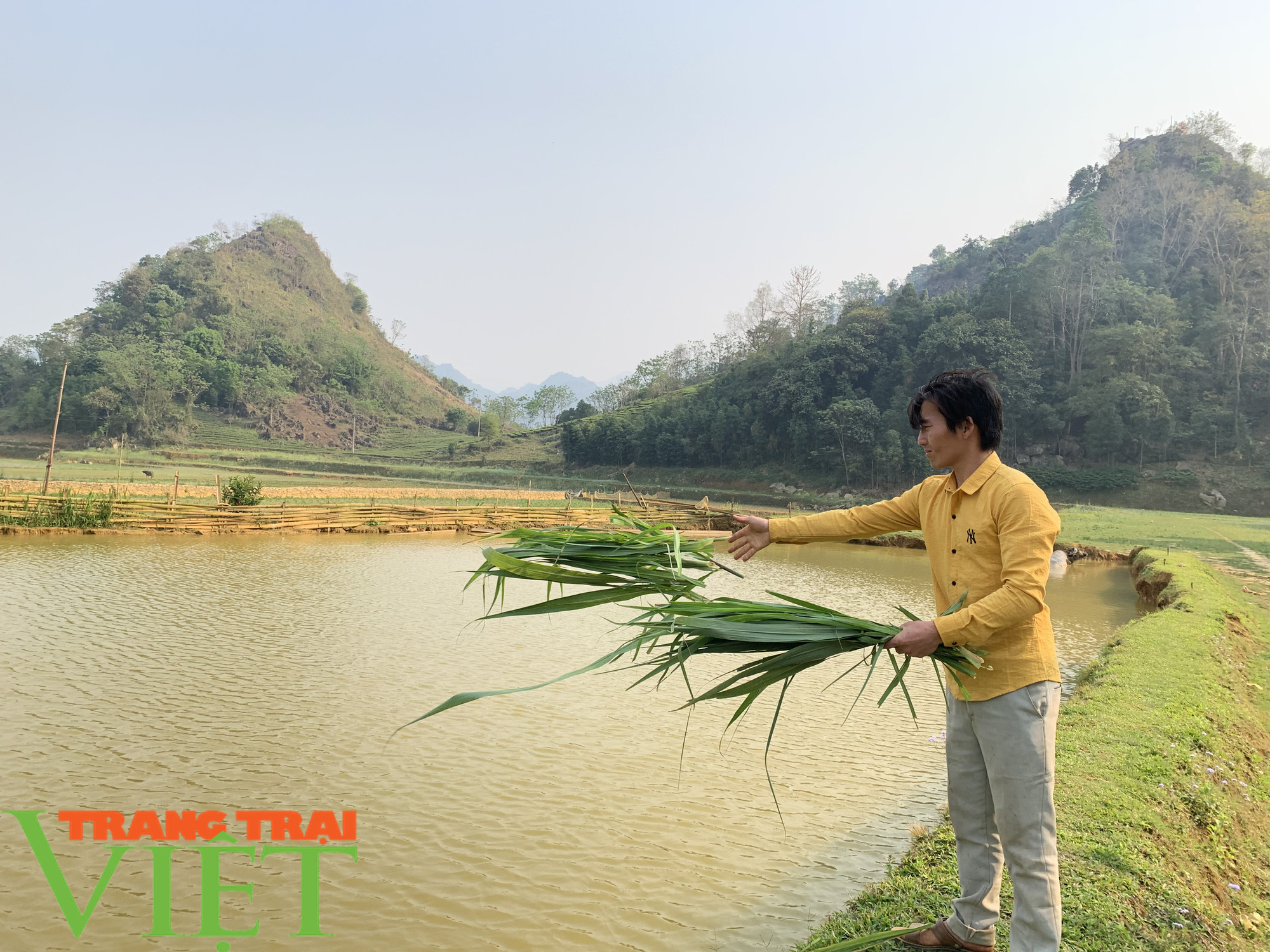 “Đánh thức” vùng đất khó, chàng trai Mông thu nhập trên 170 triệu đồng mỗi năm - Ảnh 2. “Đánh thức” vùng đất khó, chàng trai Mông thu nhập trên 170 triệu đồng mỗi năm - Ảnh 2.