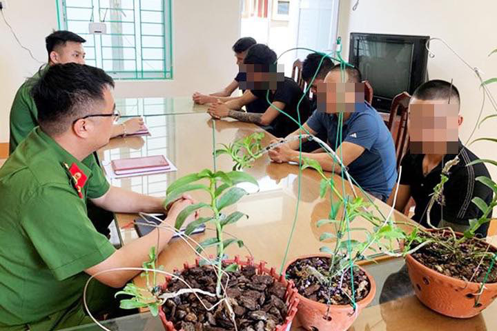 Công an cảnh báo bẫy &quot;bong bóng&quot; hoa lan đột biến - Ảnh 3.
