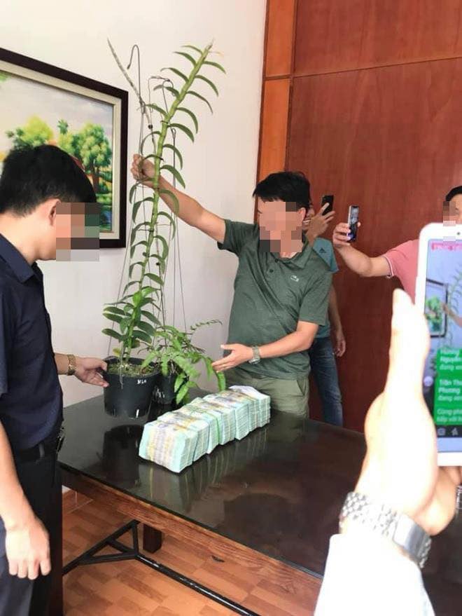 Công an cảnh báo bẫy &quot;bong bóng&quot; hoa lan đột biến - Ảnh 1.