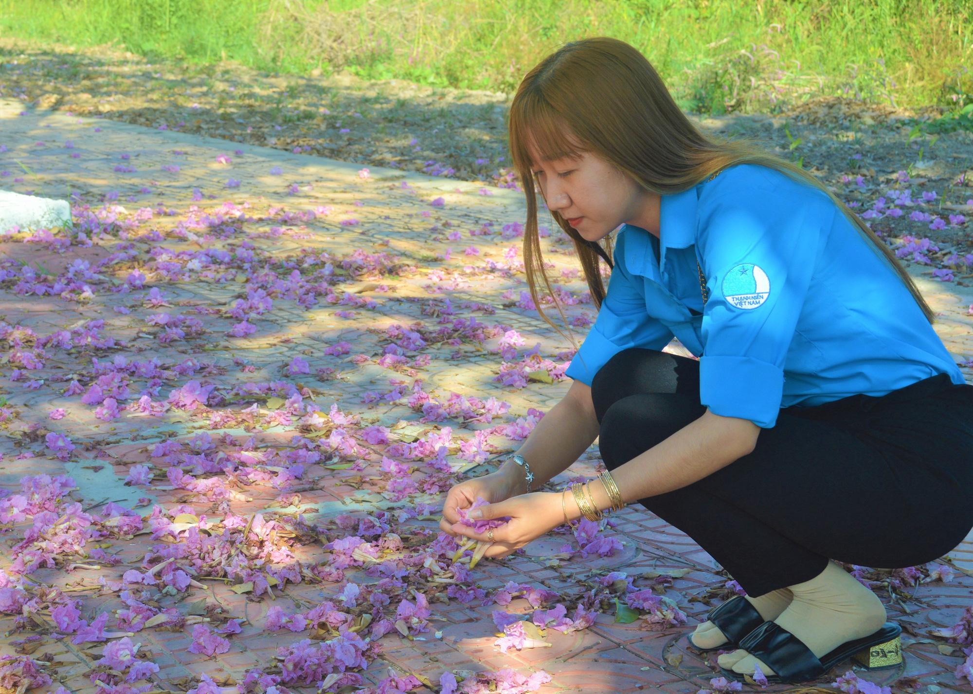 Hoa kèn hồng là hoa gì mà người dân ở các tỉnh miền Tây ùn ùn kéo đến Sóc Trăng để ngắm và chụp hình? - Ảnh 8.