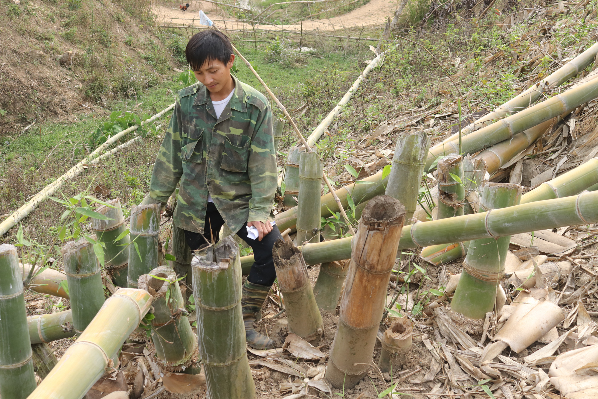 Sơn La: Chặt phá vườn cây bị phát hiện, đối tượng dùng dao truy đuổi lại chủ - Ảnh 3.