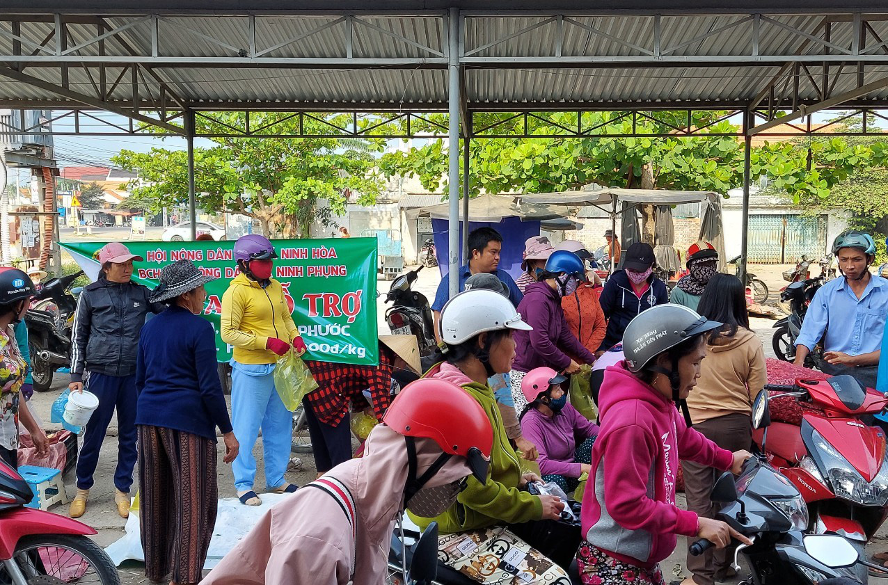 Khánh Hòa: Chung tay &quot;giải cứu&quot; tỏi, hành giúp nông dân - Ảnh 1.