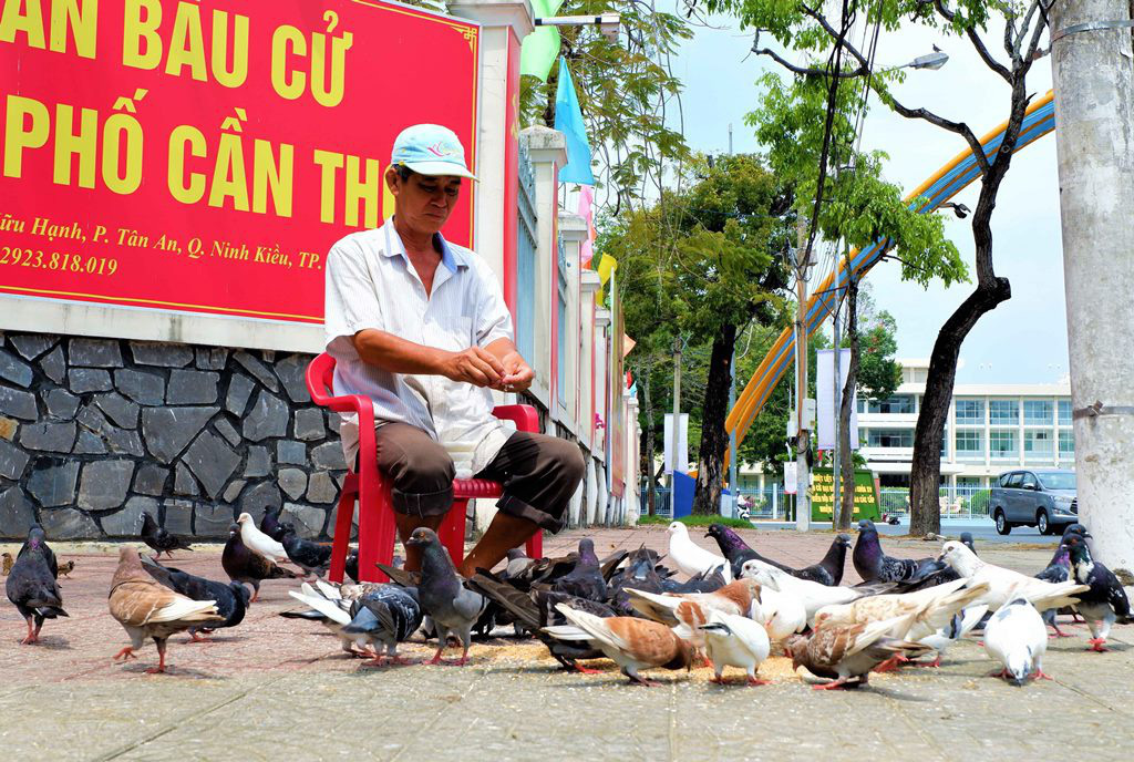 Ông lão độc thân 10 năm &quot;cưu mang&quot; đàn chim trời - Ảnh 2.