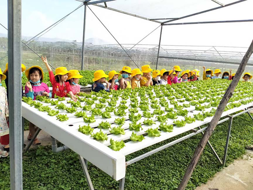 Đà Nẵng: Phát triển du lịch từ... vườn rau - Ảnh 1.