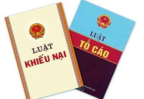  Người ứng cử đại biểu bị tố cáo, khiếu nại sẽ được xử lý thế nào? - Ảnh 3.