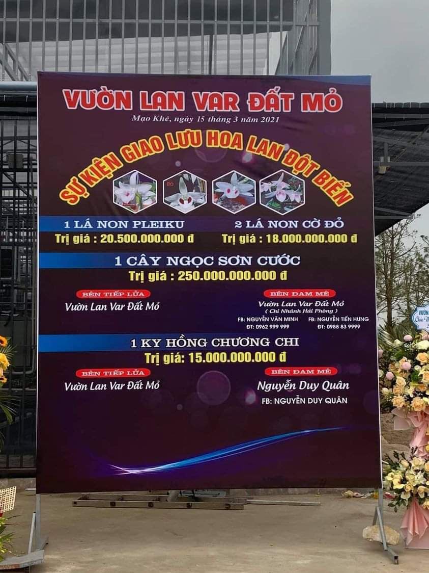 Mua bán lan đột biến tiền tỷ, cách nào ngăn chiêu trò thổi giá? - Ảnh 3.