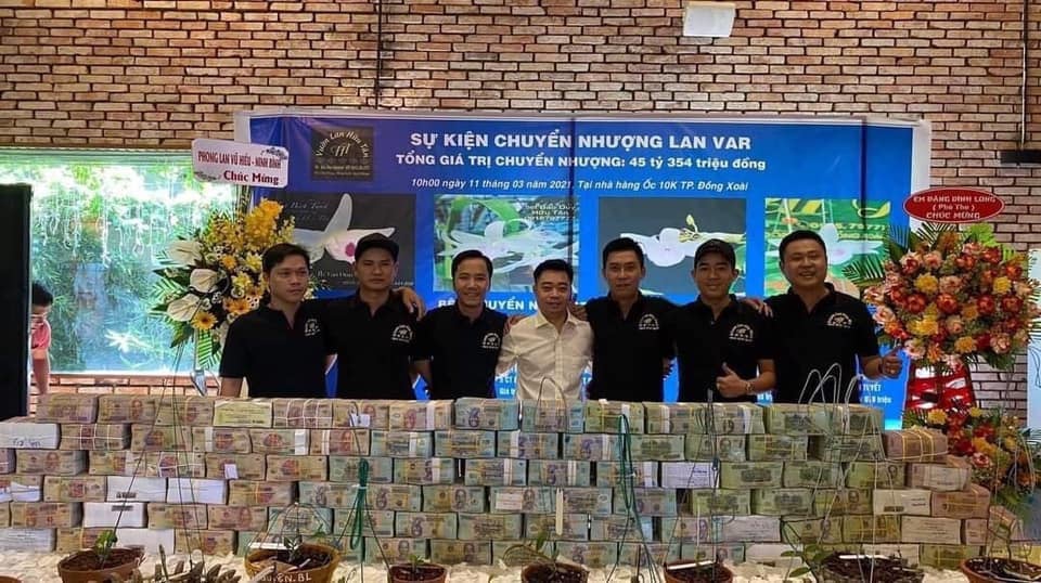 Mua bán lan đột biến tiền tỷ, cách nào ngăn chiêu trò thổi giá? - Ảnh 1.